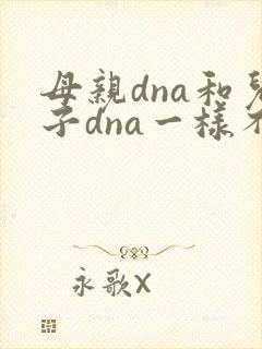 母亲dna和儿子dna一样不