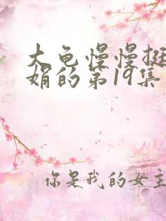 大龟慢慢挺进张娟的第19集