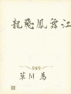 龙飞凤舞江一龙