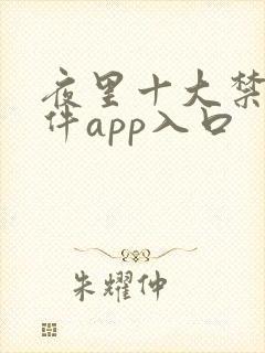 夜里十大禁用软件app入口