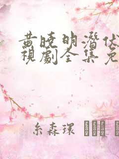 黄晓明潜伏者电视剧全集免费观看