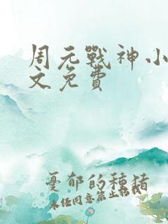 周元战神小说全文免费