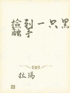 捡到一只黑心小触手