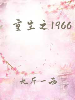 重生之1966