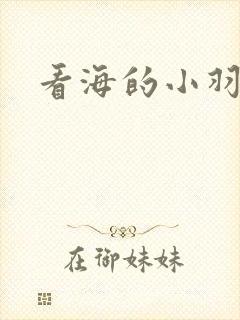 看海的小羽