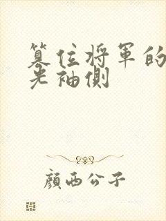 篡位将军的白月光袖侧