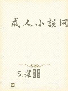 成人小说网