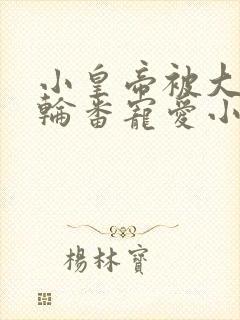 小皇帝被大臣们轮番宠爱小说