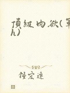 顶级肉欲(军高h)