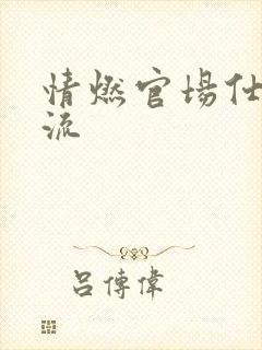 情燃官场仕途风流