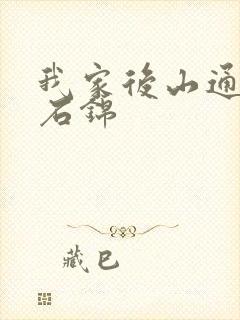 我家后山通仙界石锦