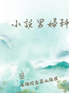 小说男妇科医生