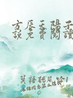 方辰天阳子的小说免费阅读