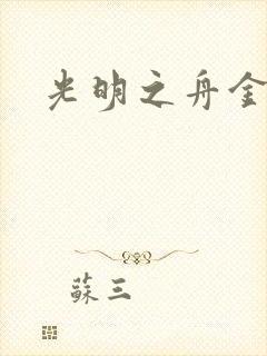 光明之舟金手指