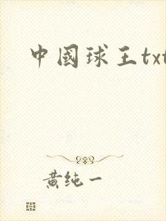 中国球王txt