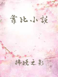 靠比小说