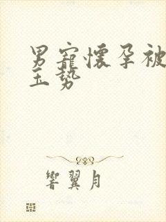 男宠怀孕被迫夹玉势