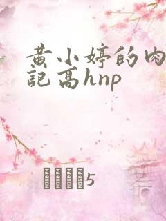 黄小婷的肉欲日记高hnp