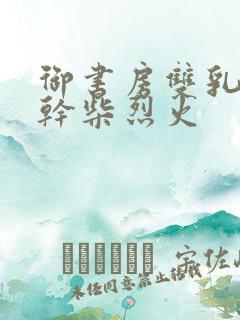 御书房双乳晃动干柴烈火