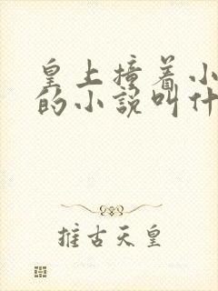 皇上撞着小公主的小说叫什么