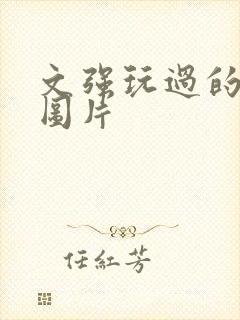 文强玩过的女人图片