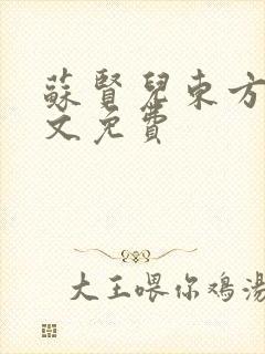 苏贤儿东方衍全文免费