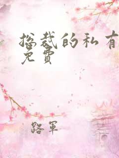 总裁的私有宝贝免费