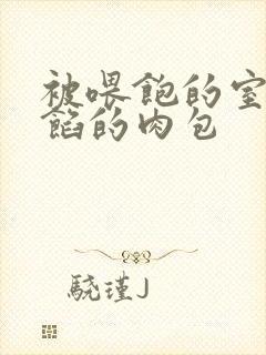 被喂饱的室友爆馅的肉包