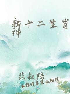 新十二生肖守护神