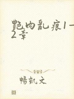 艳肉乱痕1—12章