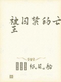 被囚禁的亡国公主