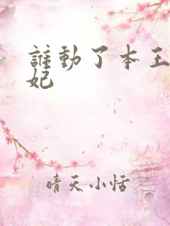 谁动了本王的悍妃