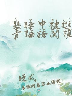 熟睡中被进了H青梅诱哄视频