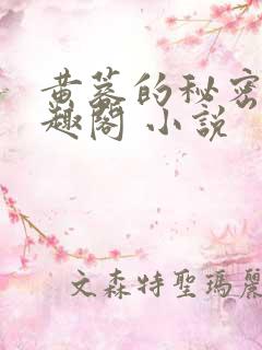 黄蓉的秘密 笔趣阁 小说