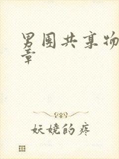 男团共享物第一章