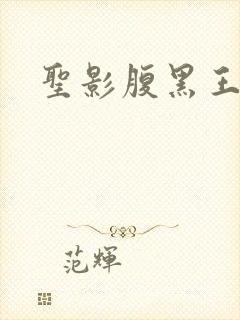 圣影腹黑王子帮