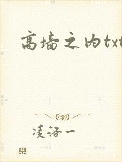 高墙之内txt
