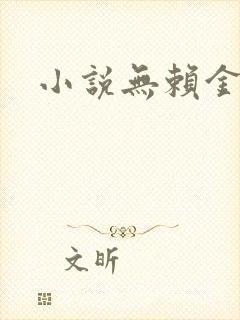 小说无赖金仙