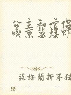 公主和僧侣 爱吃京葱爆虾的当归