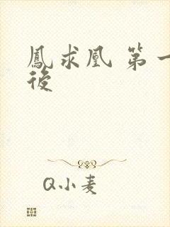 凤求凰 第一皇后