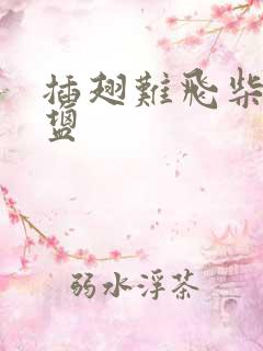 插翅难飞柴米油盐