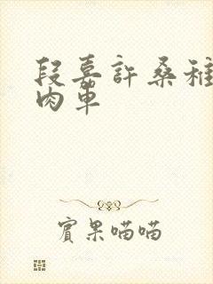 段嘉许桑稚浴室肉车