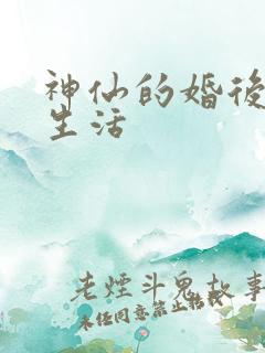 神仙的婚后都市生活