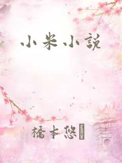 小米小说
