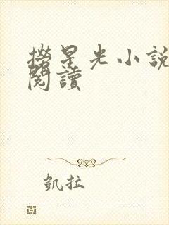 捞星光小说免费阅读