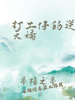 打工仔的逆袭楚天娇