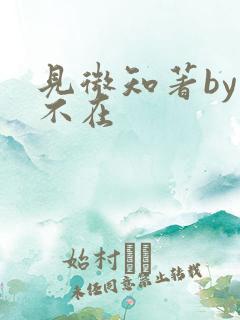 见微知著by音不在