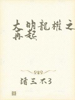 大明龙权之风云再起