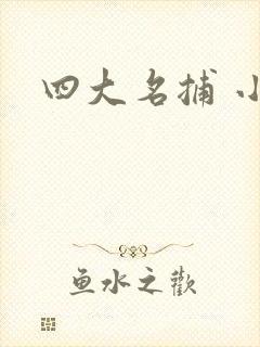 四大名捕 小说