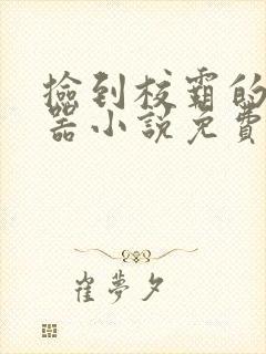 捡到校霸的遥控器小说免费阅读无弹窗